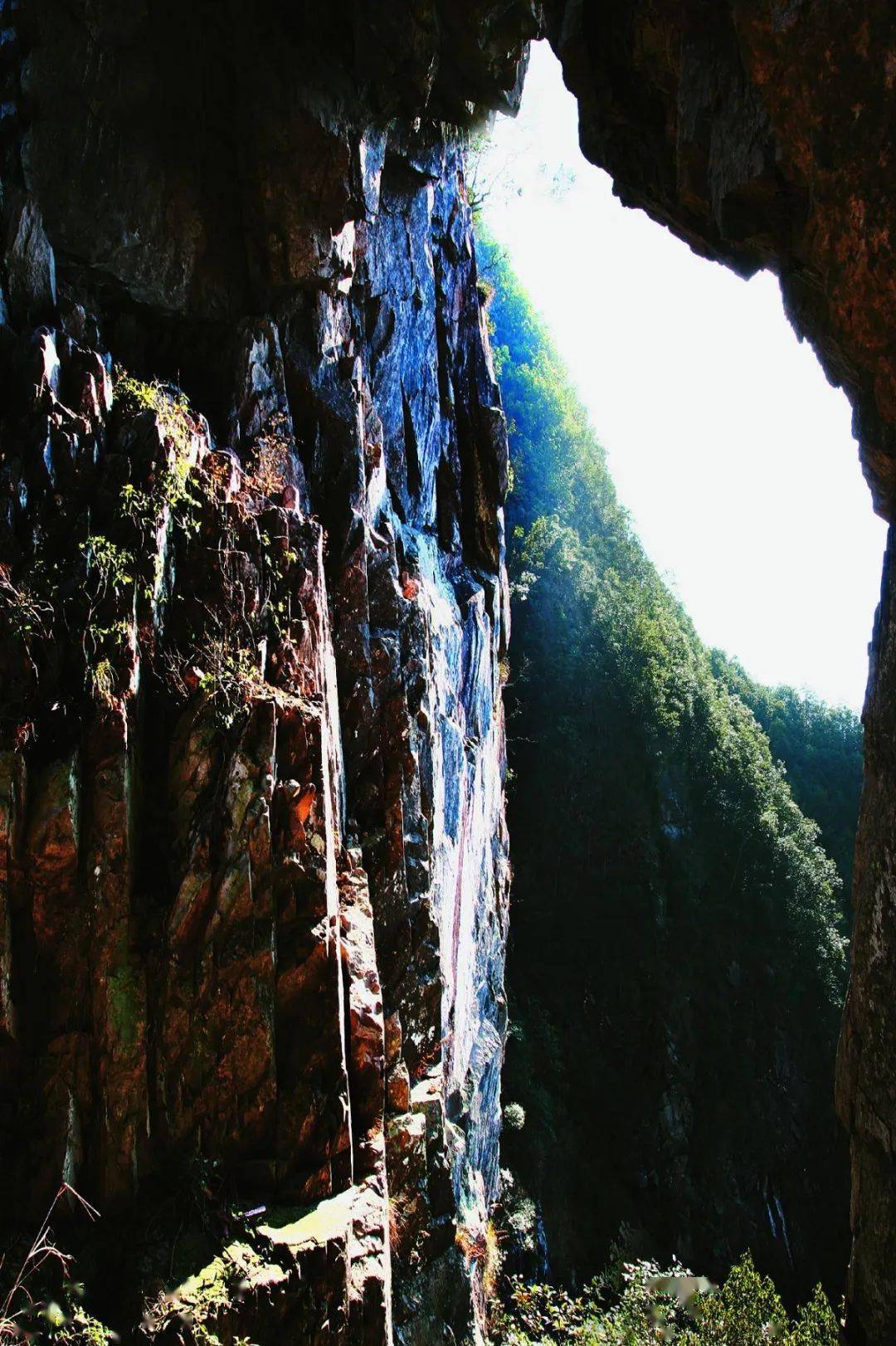 苍南莒溪大峡谷景区图片