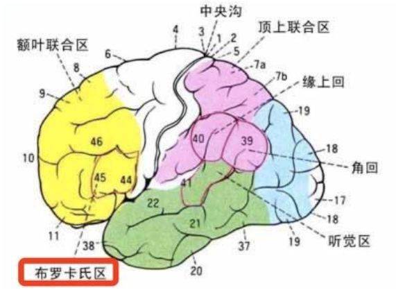 区氏有多少人口_衣姓有多少人口 衣姓起源与分布(2)