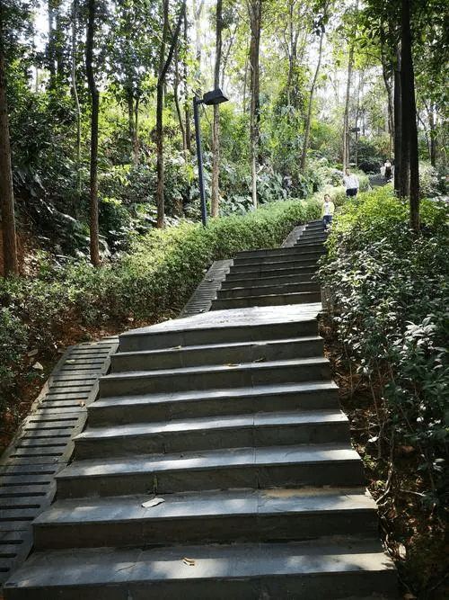 周末散心没好去处平洲三山森林公园了解一下