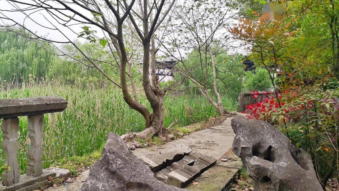 碧浪湖桃园陈英士墓洼樽亭四八时三刻抵碧岩,舍舟登陆,团丁荷枪实弹