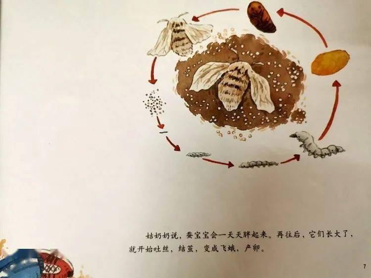 周末故事会丨《谷雨·养蚕忙》