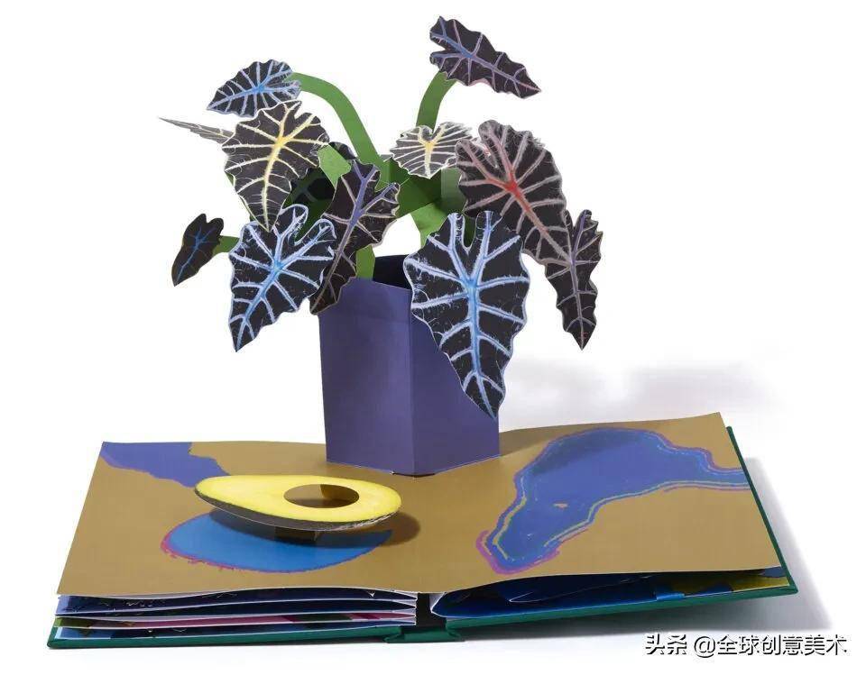 六种盆栽植物的立体书轻轻翻开一片芳菲