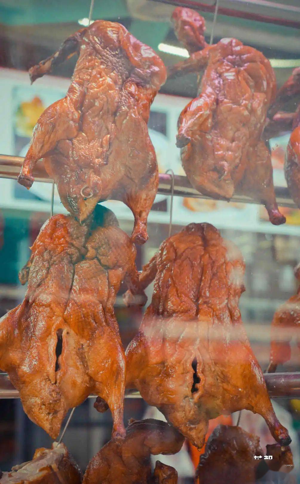 不愧是开店14年的清远洲心烧腊档一啖香脆烧肉打天下