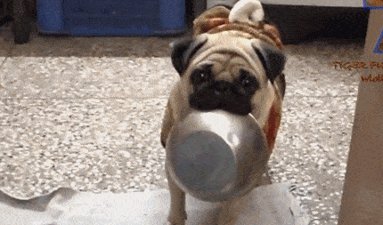 搞笑gif:兄弟你这表情包画的不错!有天赋呀!