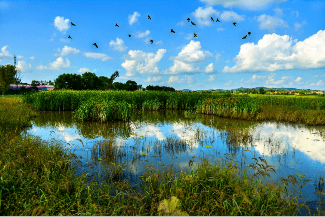 spring鴜鹭湖生态旅游度假区美景游地址:东丰县南屯基镇北屯基村一组