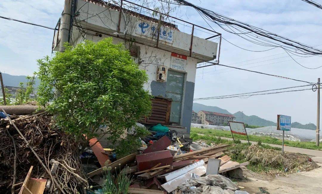 在邵家渡街道前洋村,沿路有露天垃圾屋,垃圾分类桶随意摆放,垃圾