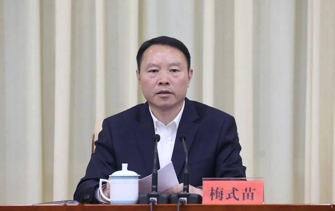 全市政法队伍教育整顿工作推进会 | 梅式苗:以强烈的行动自觉和责任