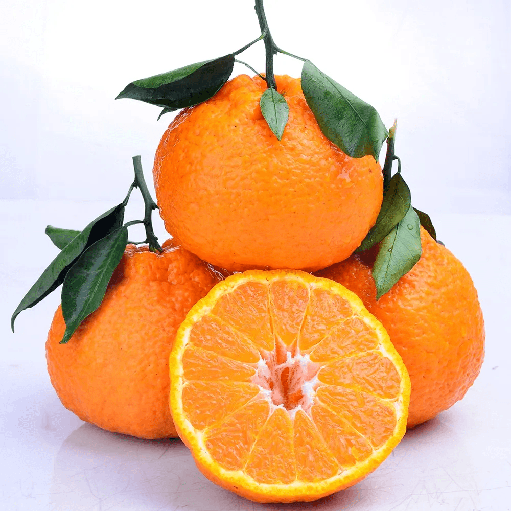 不吹不黑!眉山人,都爱我