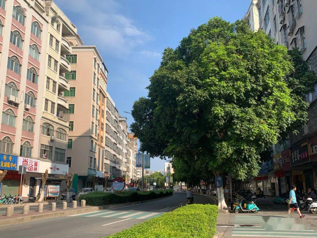 记录高州最后一条绿道这里有你的美好记忆吗