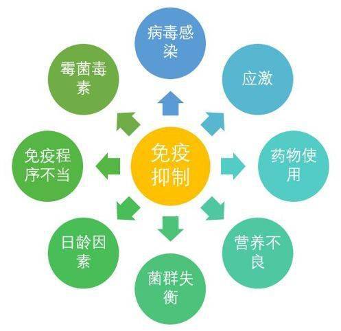 申亞生物提高免疫力才是制勝法寶