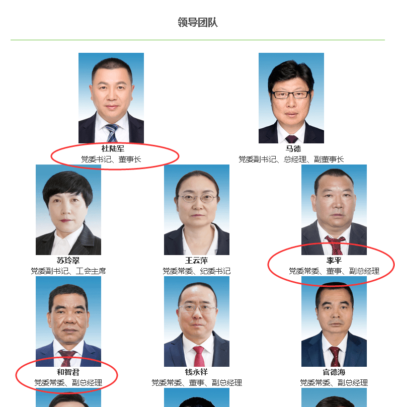 其中,党委书记,董事长杜陆军被调查,党委常委,副总经理李平,副总经理