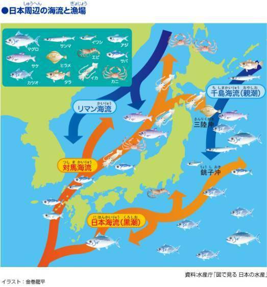 图11 日本周边的海流和渔场左上角图标依次为:金枪鱼 秋刀鱼 沙丁鱼