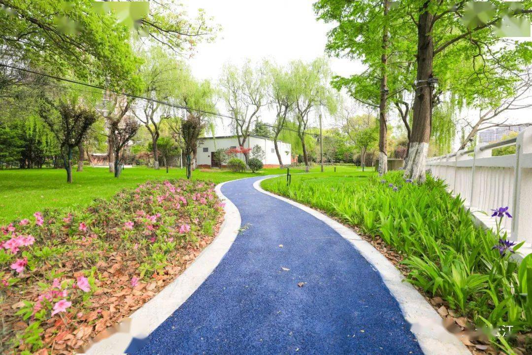 【探索】4000平方米草坪!松江新增一处滨水健身步道