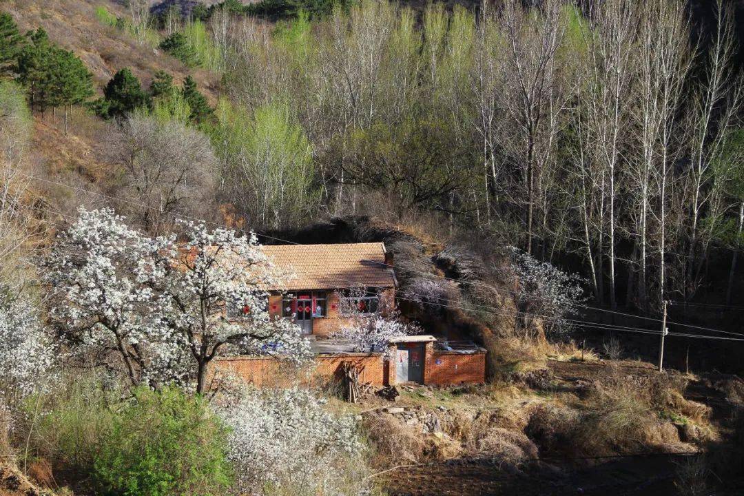 影像记录承德天外村温馨恬静的乡村画卷