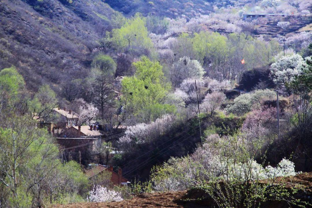 影像记录承德天外村温馨恬静的乡村画卷