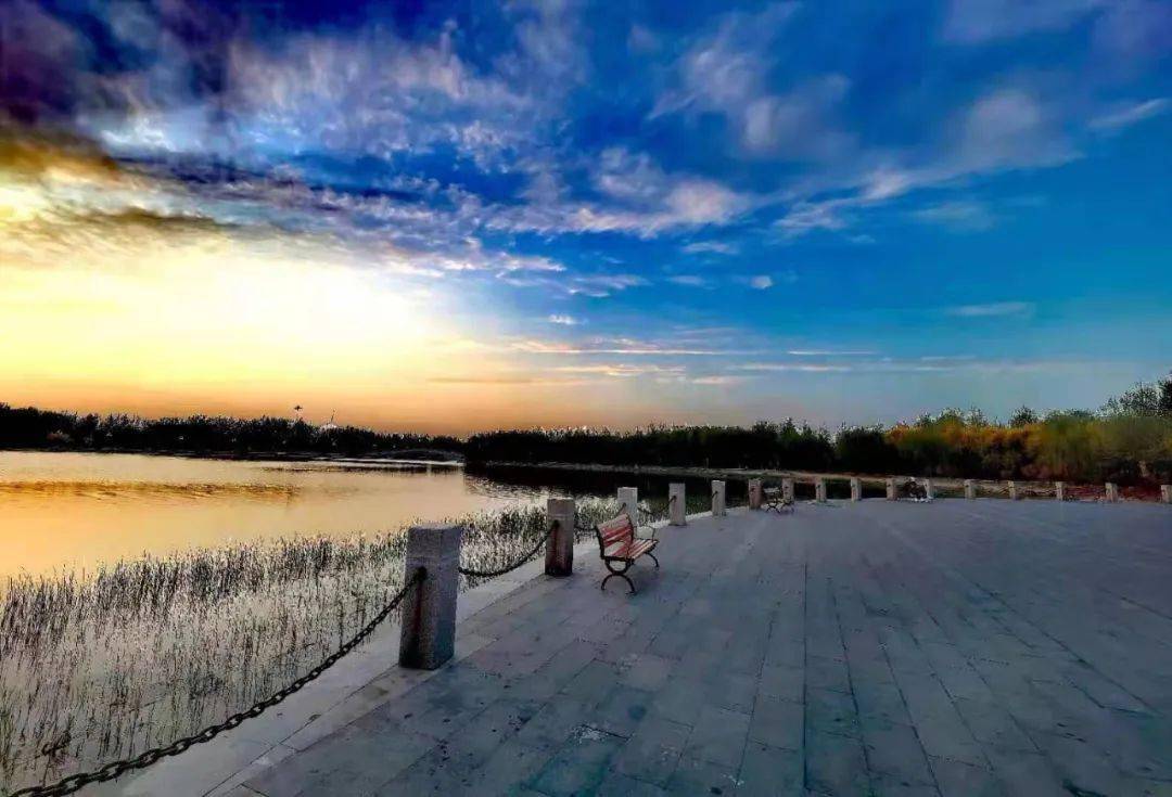 最美人间四月天临西这个运河古城一定不能错过