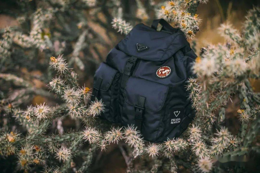 Chanel的菱格纹 Prada的再生尼龙 大牌第二logo你都认识哪些 设计