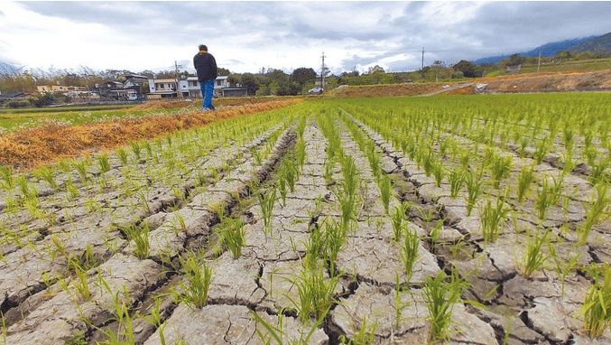 限水乱象频发 企业水车抢不到民用水惨遭征用 金门