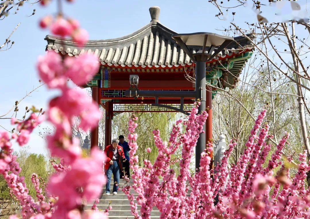 通州城市绿心5条"最"字辈赏花路线公布!快约起来