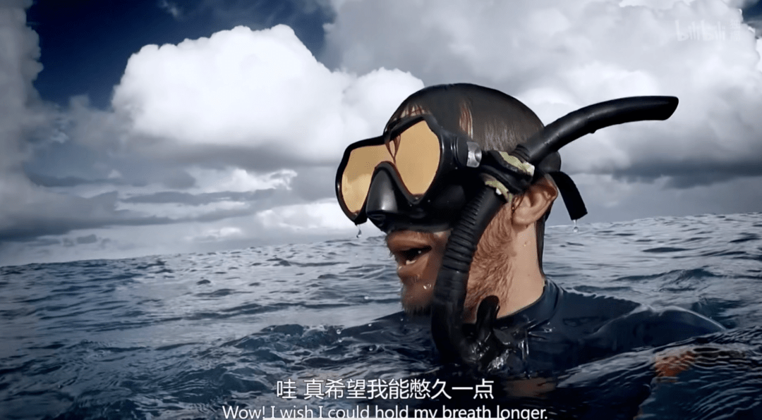 将镜头聚焦海洋巨型动物,纪录片《追踪海洋巨兽》看b站纪录片精品多元