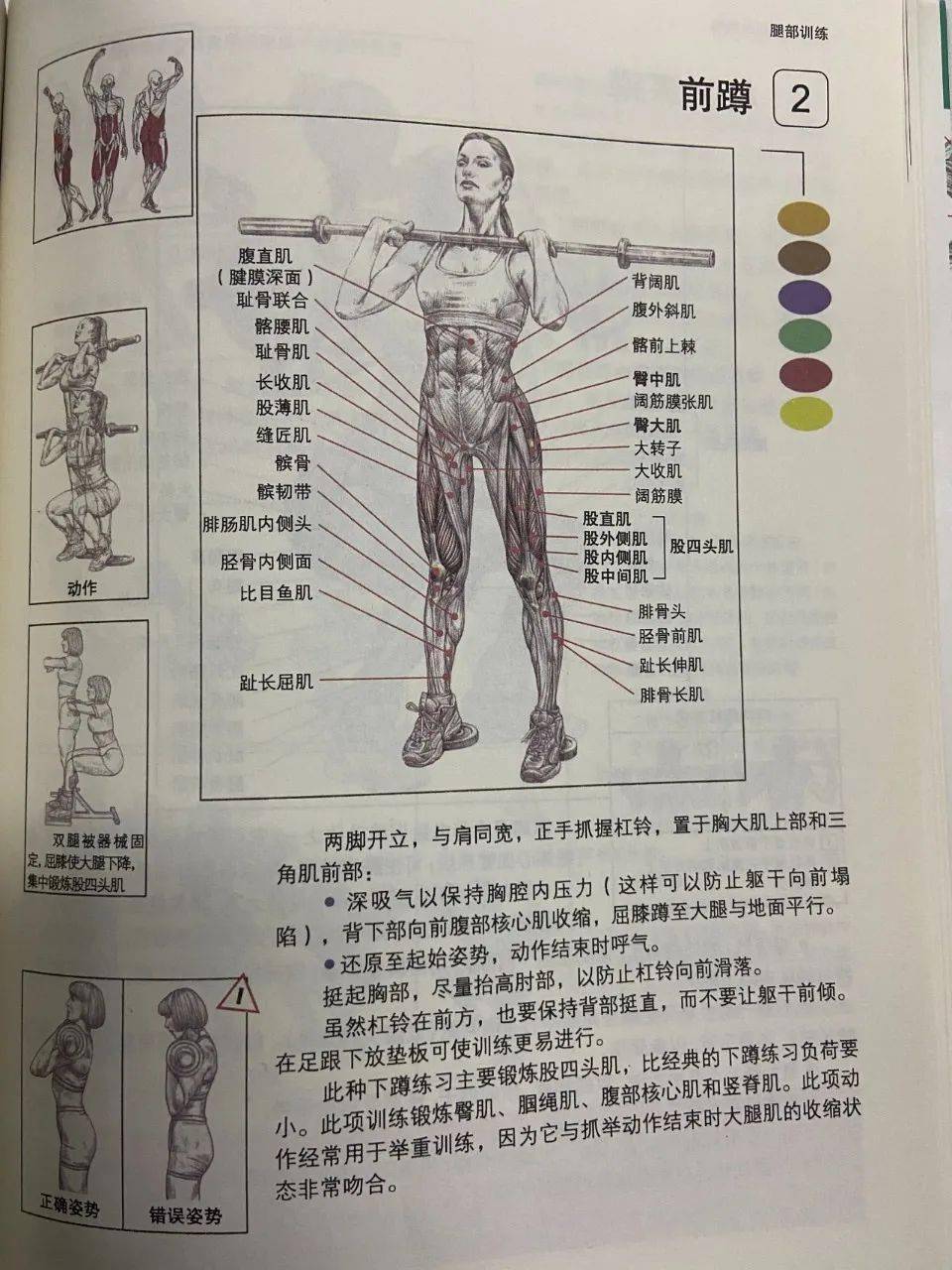 以上內容來源於《肌肉健美訓練圖解》(全新修訂版)想要更多其他優惠?