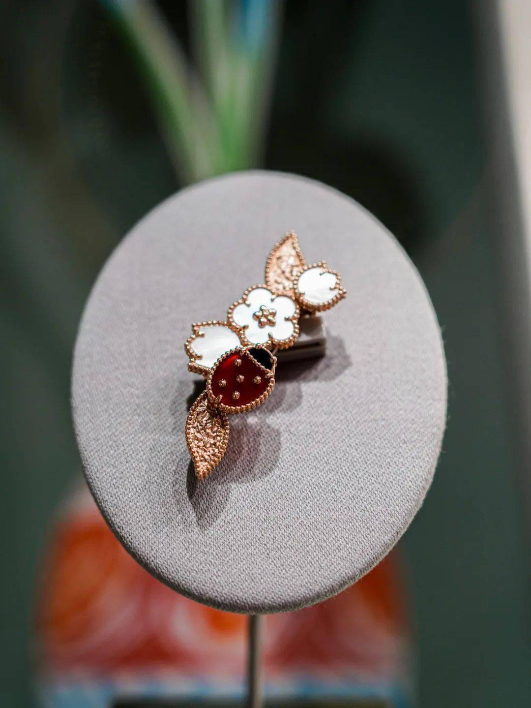 ����ű�����֮��԰���ս�����Frivoleϵ�������ݻ�������