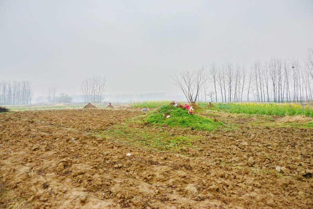 孔门宓子贱所得者三所治者小下韦力撰