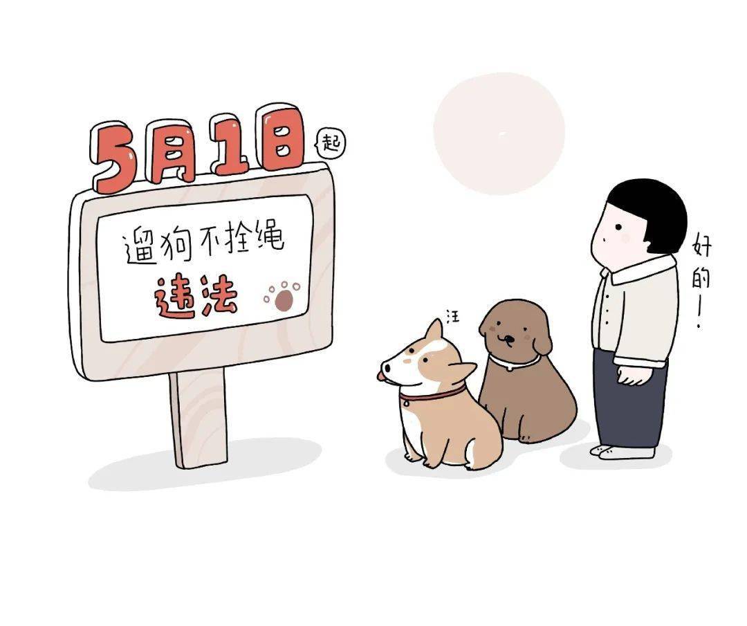 家里养狗的贵阳人注意5月1日起遛狗不拴绳违法