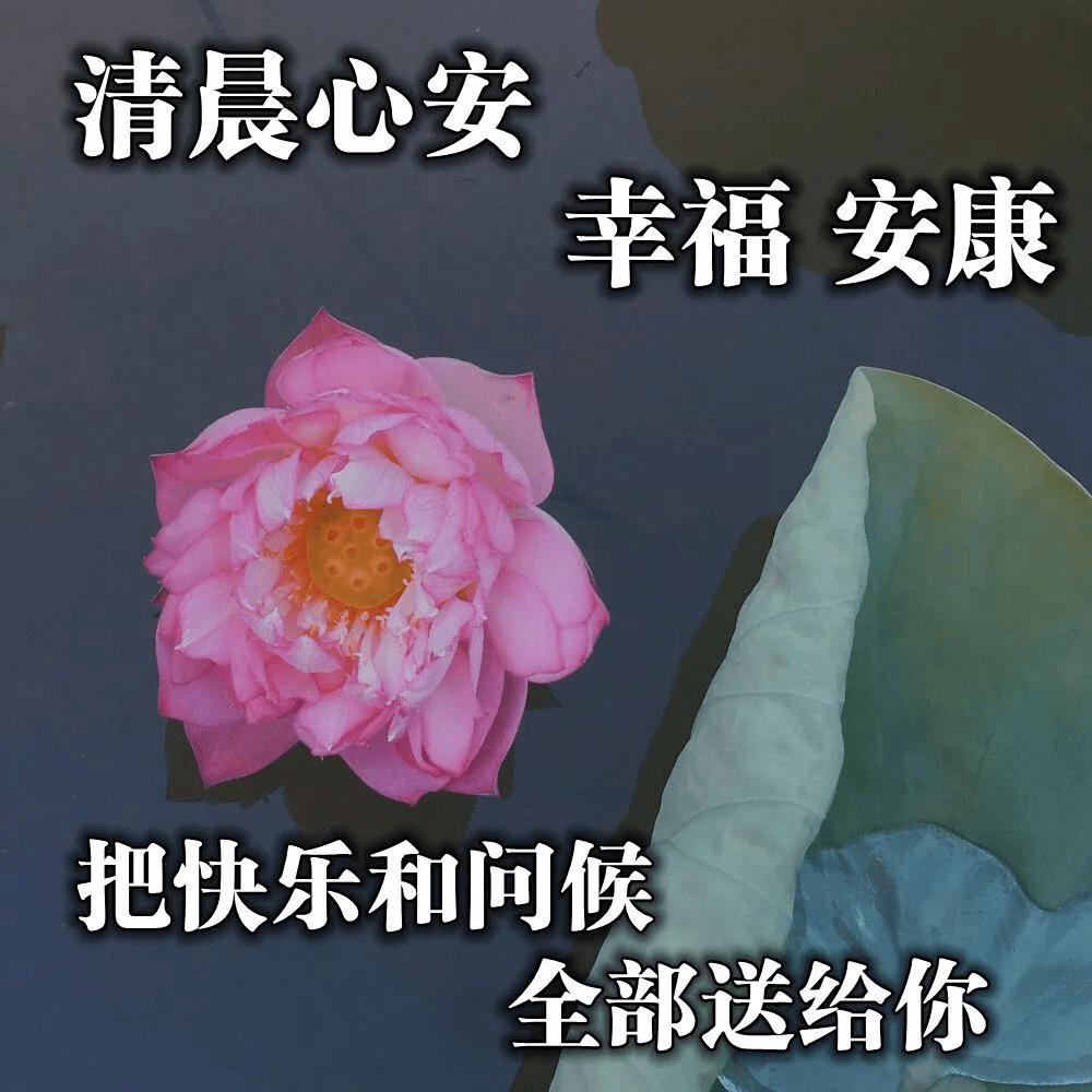 祝福表情包老年人图片