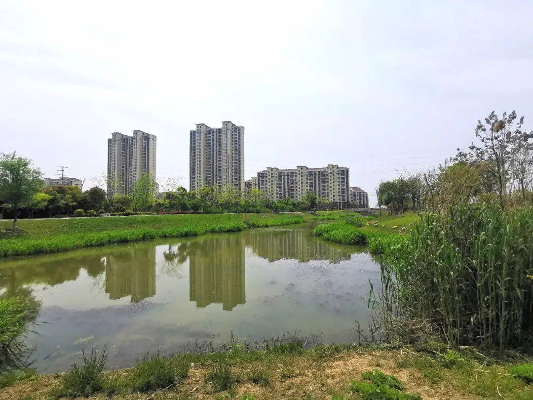 荒地野塘变身绿野仙踪丹阳又多一个休闲的好去处