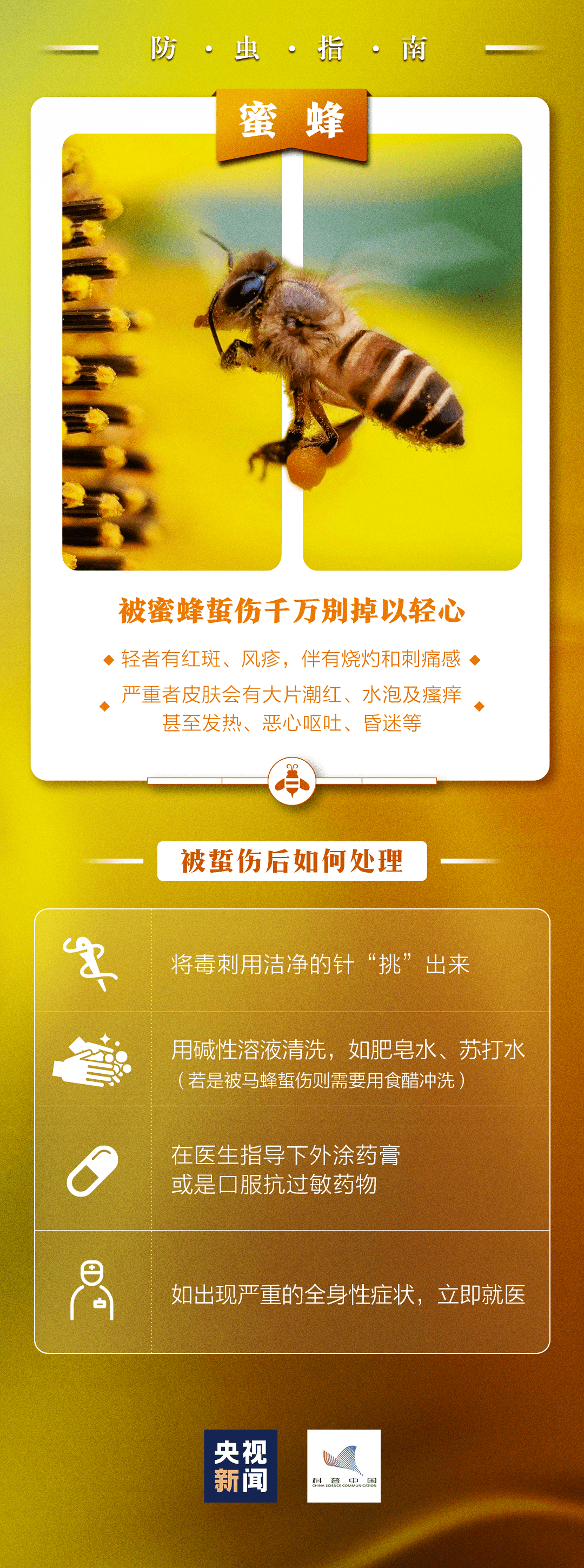 蚁咬怎么办