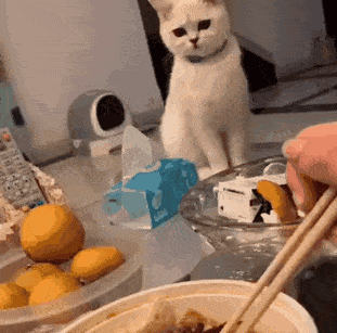 311_307gif 动态图 动图