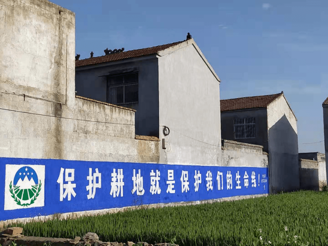 乱占耕地建房整治商丘市持续掀起农村乱占耕地建房专项整治工作宣传