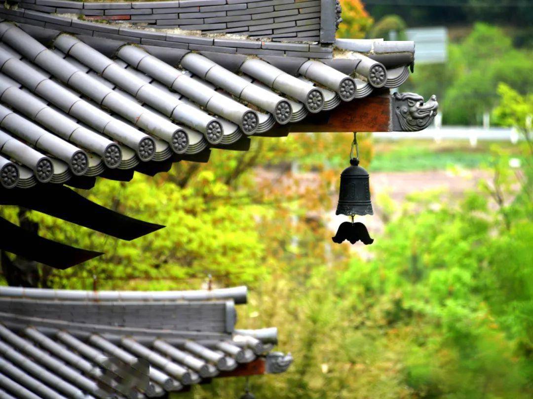 浙江女众小寺院图片