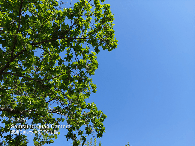 三星galaxya525g评测旗舰外观120hz高刷屏ois主摄配齐