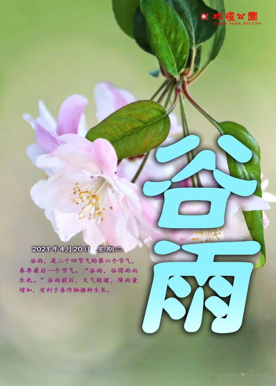 二十四节气