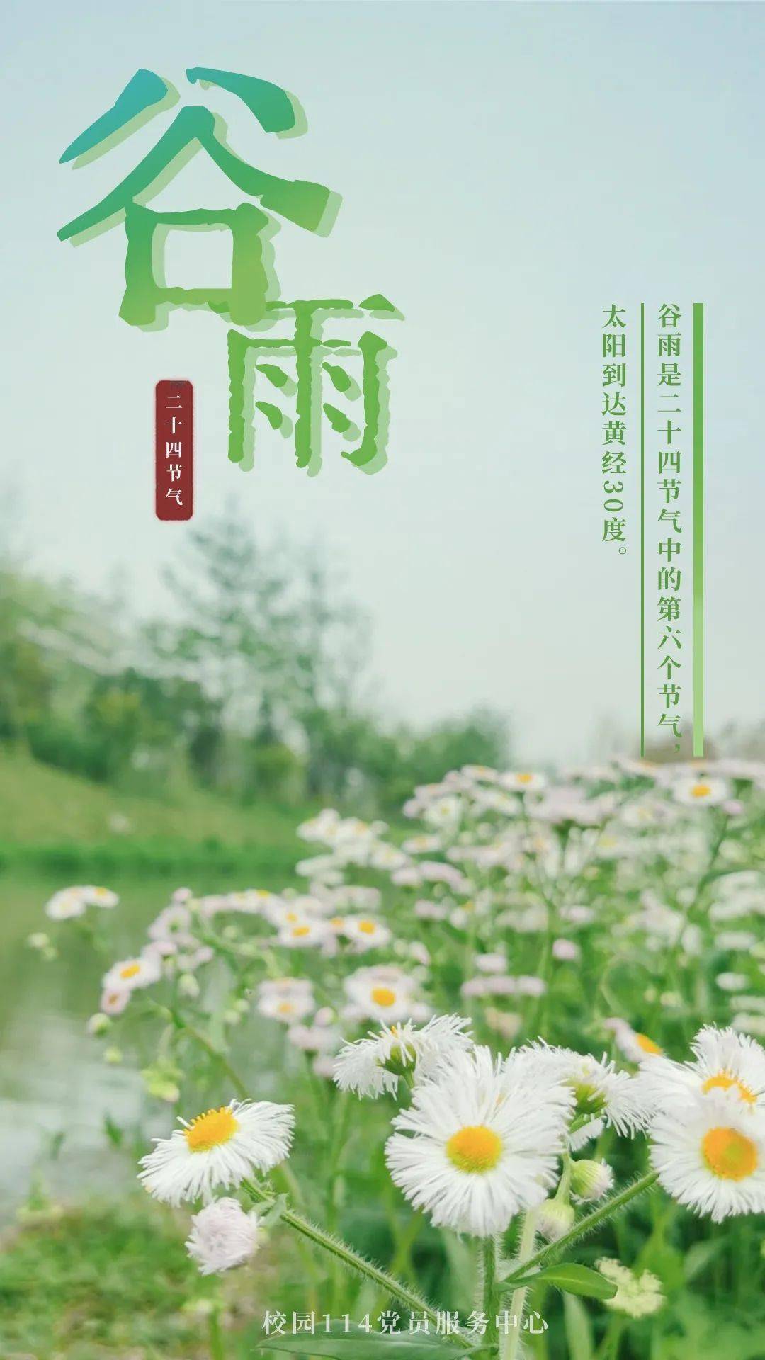 谷雨杨花柳絮随风舞雨生百谷夏将至