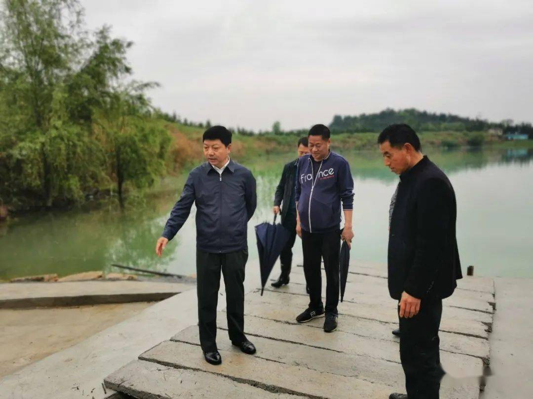 分宜县委书记李逸翔:牢固树立绿水青山就是金山银山理念 狠抓突出生态