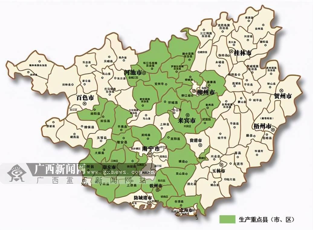 在"0糖战争"中,发现内卷的糖,蔗农和消费者_甘蔗