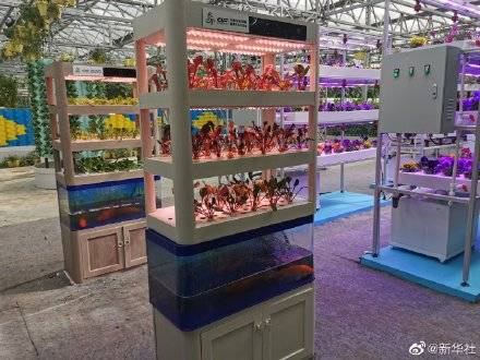 技术|根际带电地瓜上天快来看看寿光蔬菜种植高科技吧