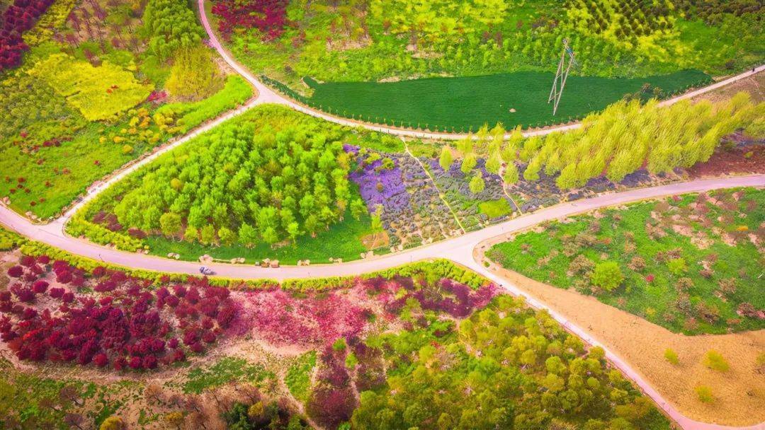 惊艳宿州植物园航拍高清组图流出