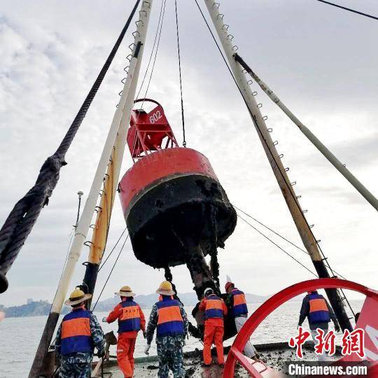 建设|厦门推进智慧港口建设