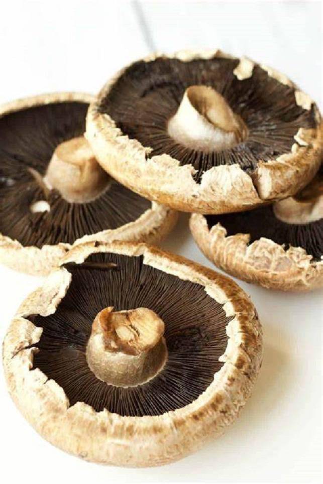 多吃蘑菇可以预防癌症