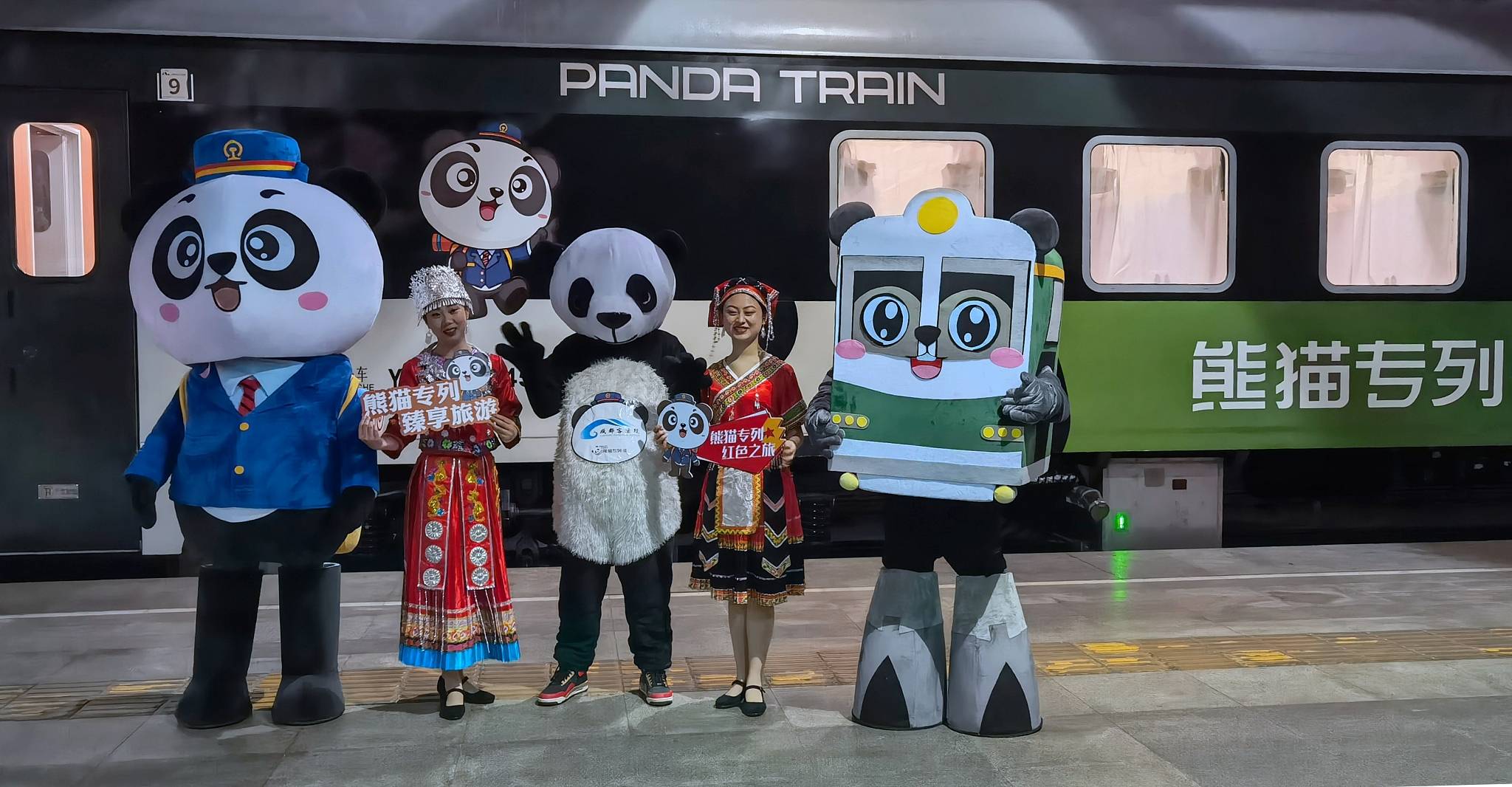 熊猫专列车图片图片