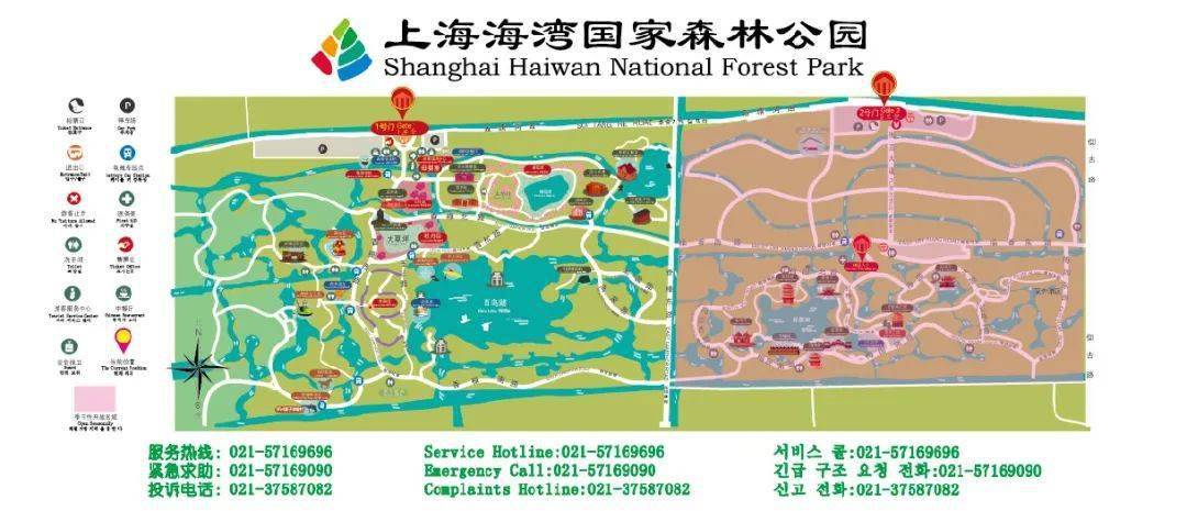 满园春色关不住海湾国家森林公园内在这个美好的时节spring置身于城郊