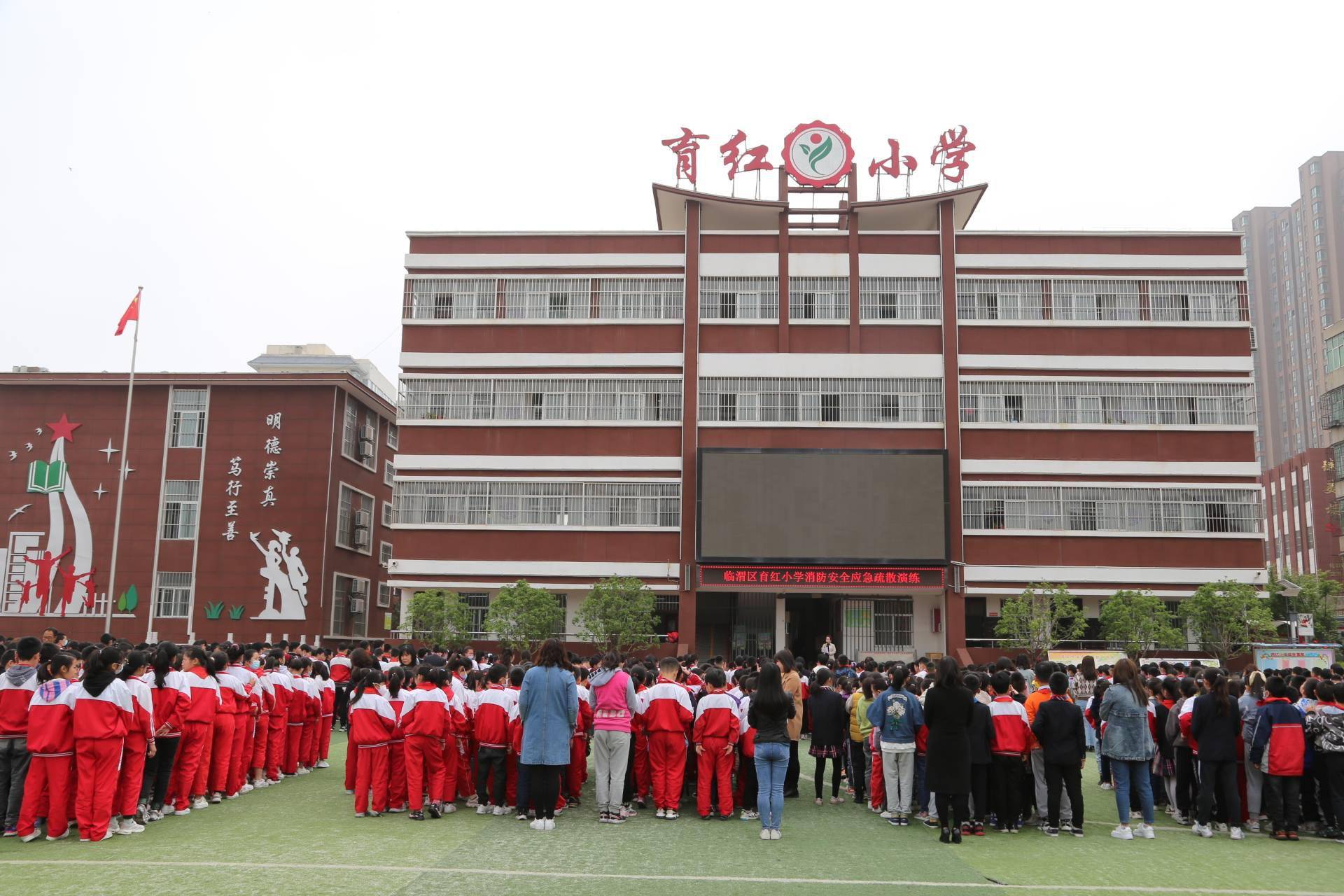 临渭区育红小学图片