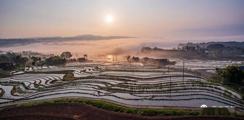 美图重庆盐井村梯田云蒸雾绕描绘最美田园画卷