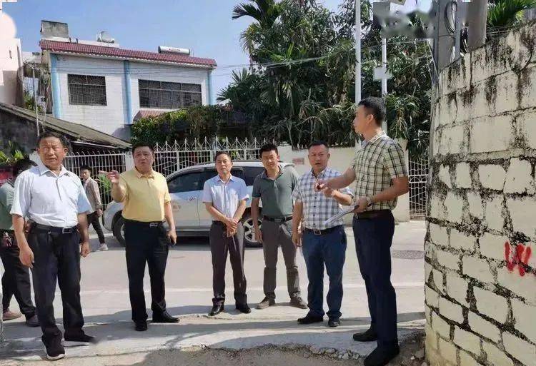 【区人大动态】崖州区人大常委会主任陈玮实地调研城东村村道硬化,保