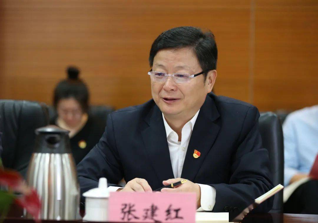 张建红以《学习红色历史 传承审计精神 ——以"三个三"扎实推进党史