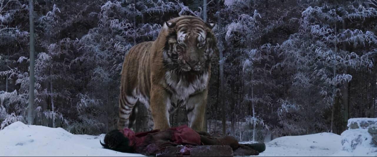 进村东北虎被控制!陆上顶级掠食者,没有之一,一虎曾灭整支日军